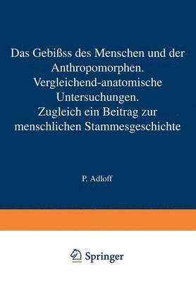 bokomslag Das Gebiss des Menschen und der Anthropomorphen. Vergleichend-anatomische Untersuchungen