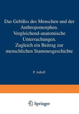 bokomslag Das Gebiss des Menschen und der Anthropomorphen. Vergleichend-anatomische Untersuchungen