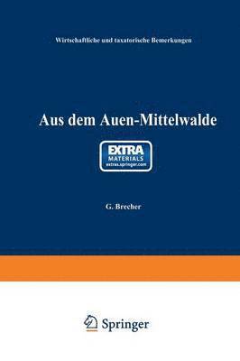 bokomslag Aus dem Auen-Mittelwalde