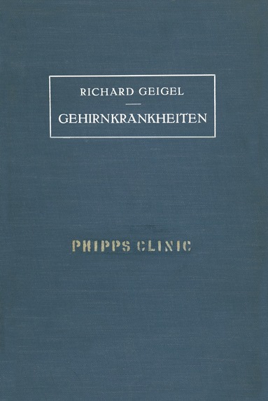 bokomslag Gehirnkrankheiten
