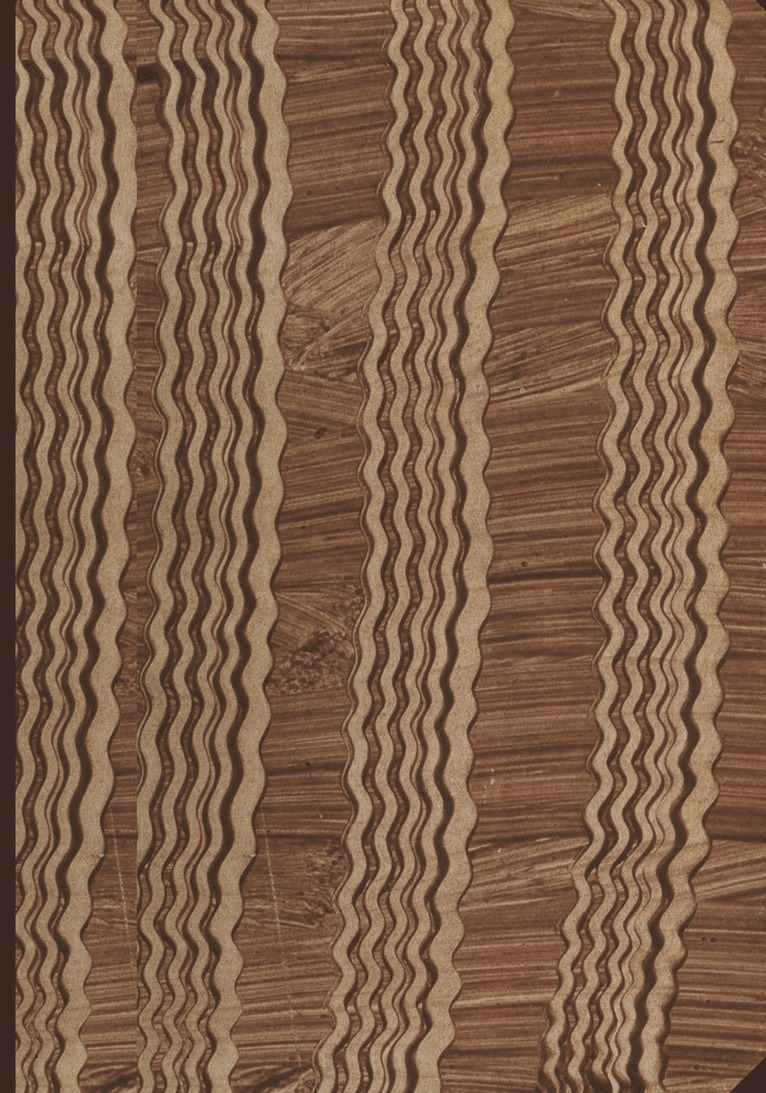 Wolfgang Weichardt - Ergebnisse der Hygiene Bakteriologie Immunitätsforschung und Experimentellen Therapie, Häftad