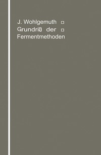 bokomslag Grundriß der Fermentmethoden
