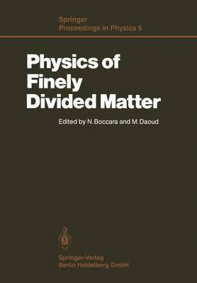 Physics of Finely Divided Matter 1