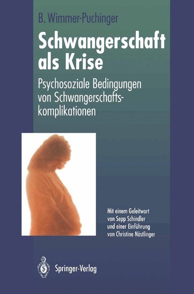 Beate Wimmer-Puchinger - Schwangerschaft als Krise, Häftad