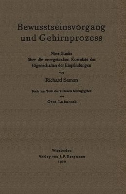 bokomslag Bewusstseinsvorgang und Gehirnprozess