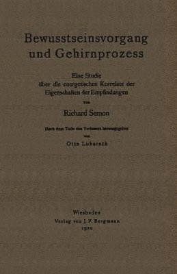 bokomslag Bewusstseinsvorgang und Gehirnprozess