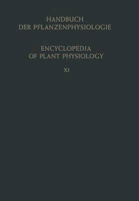 bokomslag Heterotrophie / Heterotrophy