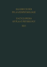 bokomslag Plant Respiration Inclusive Fermentations and Acid Metabolism / Pflanzenatmung Einschliesslich Gärungen und Säurestoffwechsel