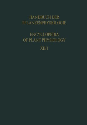 bokomslag Plant Respiration Inclusive Fermentations and Acid Metabolism / Pflanzenatmung Einschliesslich Gärungen und Säurestoffwechsel