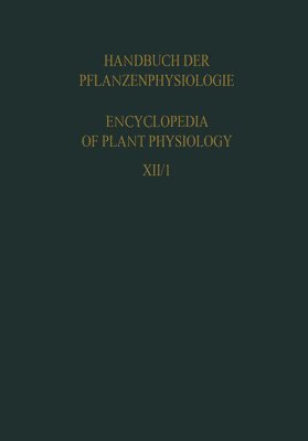 bokomslag Plant Respiration Inclusive Fermentations and Acid Metabolism / Pflanzenatmung Einschliesslich Grungen und Surestoffwechsel