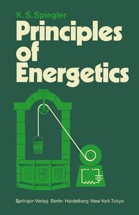bokomslag Principles of Energetics