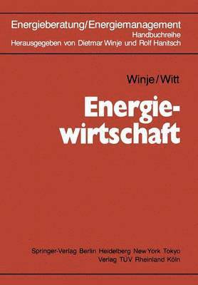 bokomslag Energiewirtschaft