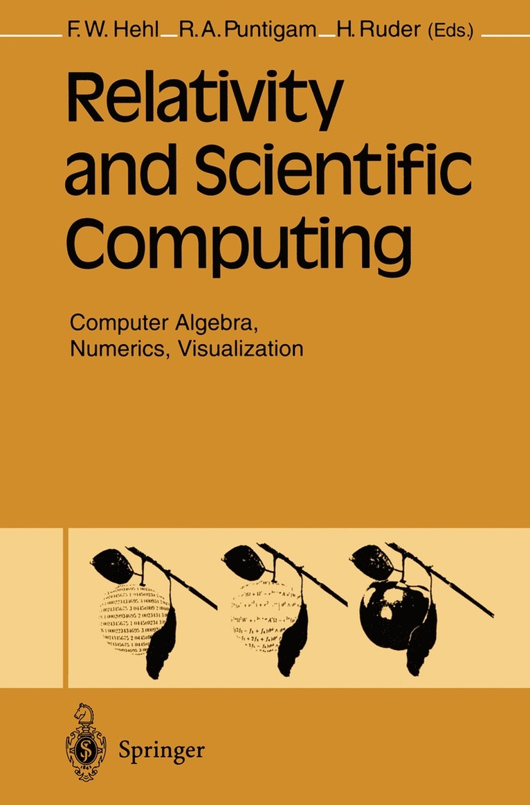 Friedrich W Hehl, Roland A. Puntigam, Hanns Ruder, Friedrich W. Hehl - Relativity and Scientific Computing, Häftad