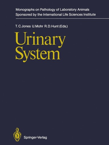 bokomslag Urinary System