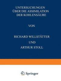 bokomslag Untersuchungen ber die Assimilation der Kohlensure