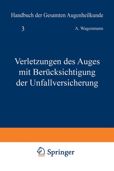 A. Wagenmann - Verletzungen des Auges mit Berücksichtigung der Unfallversicherung, Häftad