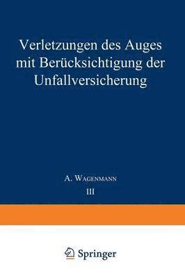 bokomslag Verletzungen des Auges mit Bercksichtigung der Unfallversicherung