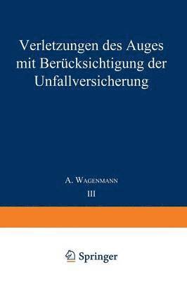 A. Wagenmann - Verletzungen des Auges mit Berücksichtigung der Unfallversicherung, Häftad