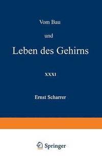 bokomslag Vom Bau und Leben des Gehirns
