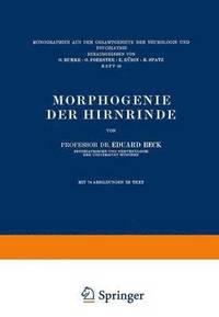 bokomslag Morphogenie der Hirnrinde
