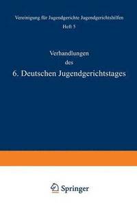 bokomslag Verhandlungen des 6. Deutschen Jugendgerichtstages