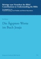 bokomslag Die Ägypten-Worte im Buch Jesaja