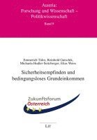 bokomslag Sicherheitsempfinden und bedingungsloses Grundeinkommen