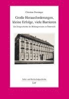 bokomslag Große Herausforderungen, kleine Erfolge, viele Barrieren