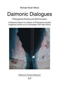 bokomslag Daimonic Dialogues