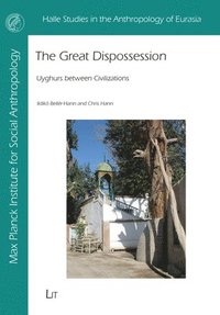 bokomslag The Great Dispossession
