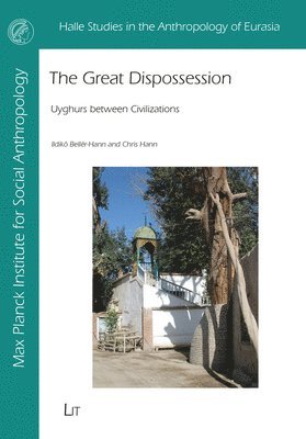 bokomslag Great Dispossession