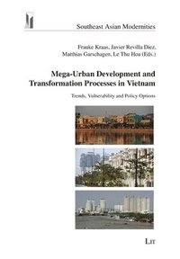 bokomslag Mega-Urban Development and Transformation Processes in Vietnam