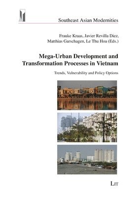 bokomslag Mega-Urban Development and Transformation Processes in Vietnam