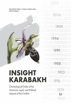bokomslag Insight Karabakh