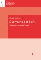 bokomslag Geometrie des Sinns