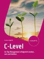 C-Level 1