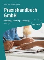 bokomslag Praxishandbuch GmbH