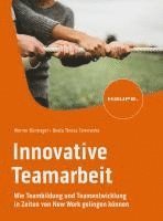 bokomslag Innovative Teamarbeit