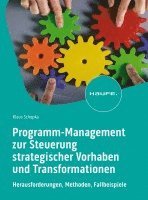 bokomslag Programm-Management zur Steuerung strategischer Vorhaben und Transformationen