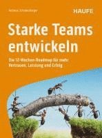 bokomslag Starke Teams entwickeln