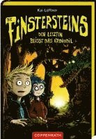 bokomslag Die Finstersteins - Band 3