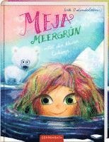 bokomslag Meja Meergrün (Bd. 5)