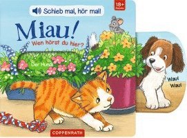 Schieb mal, hör mal!: Miau! Wen hörst du hier? 1