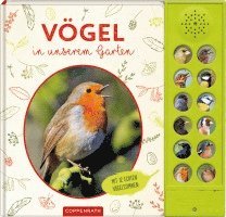 Vögel in unserem Garten 1