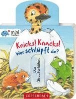 bokomslag minifanten 35: Knicks! Knacks! Wer schlüpft da?