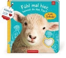 Fühl mal hier, kennst du das Tier? So viele Tierkinder 1