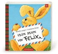 bokomslag Erste Briefe von Felix
