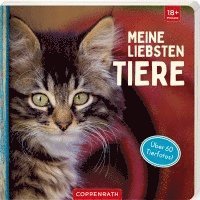 bokomslag Meine liebsten Tiere