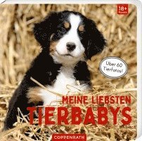 bokomslag Meine liebsten Tierbabys