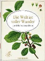 bokomslag Die Welt ist voller Wunder